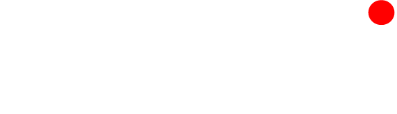 Duzzi logo